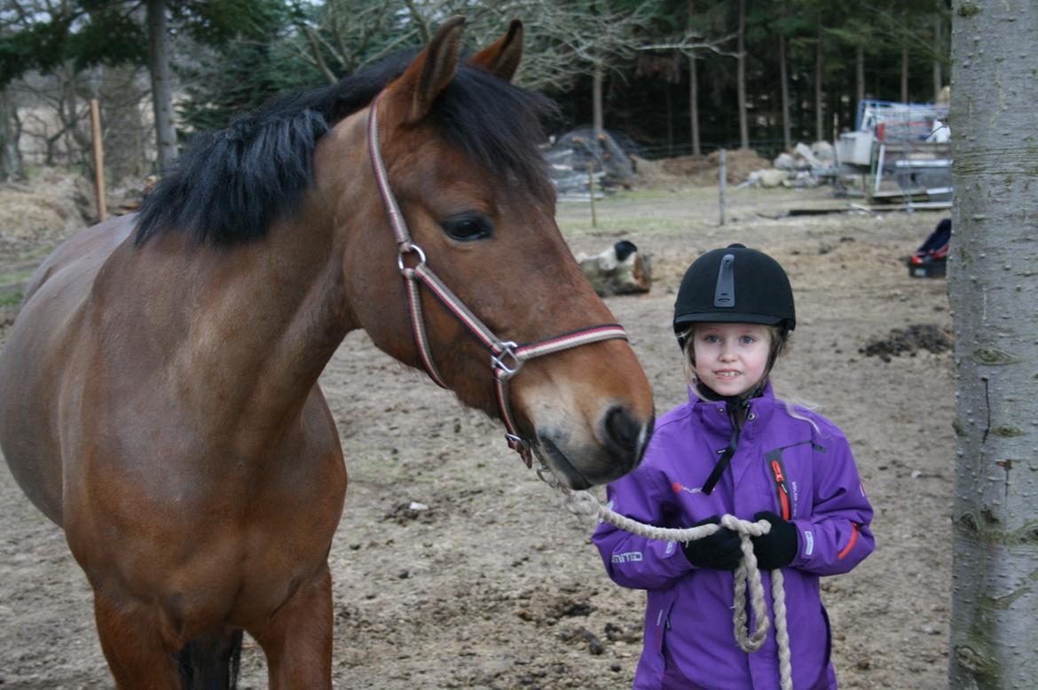 Anden særlig race Stald Poppels Tanne billede 14