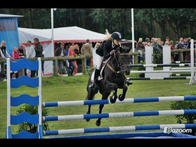 Anden særlig race Birkholms Lars (*GASTON*) - Med Sarah S. Larsen. billede 6