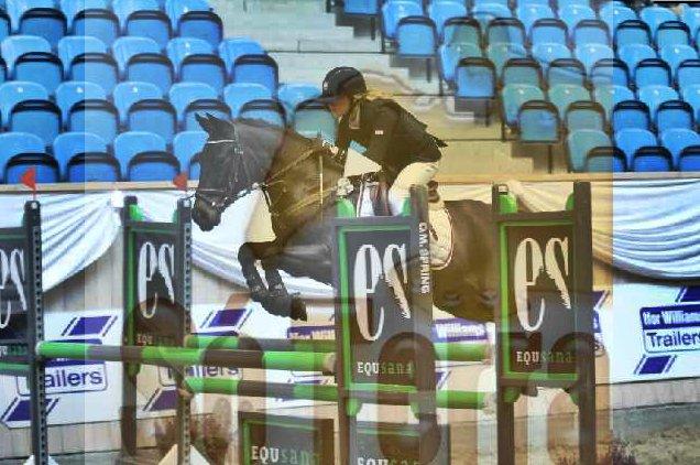 Anden særlig race Birkholms Lars (*GASTON*) - Med Sarah S. Larsen. billede 8