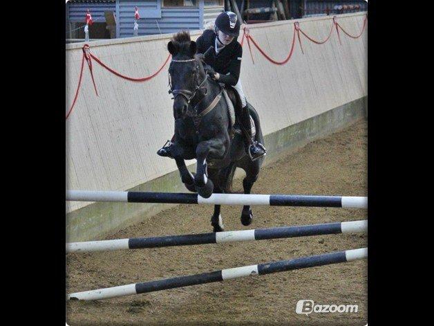 Anden særlig race Birkholms Lars (*GASTON*) - Med Sarah S. Larsen. billede 9
