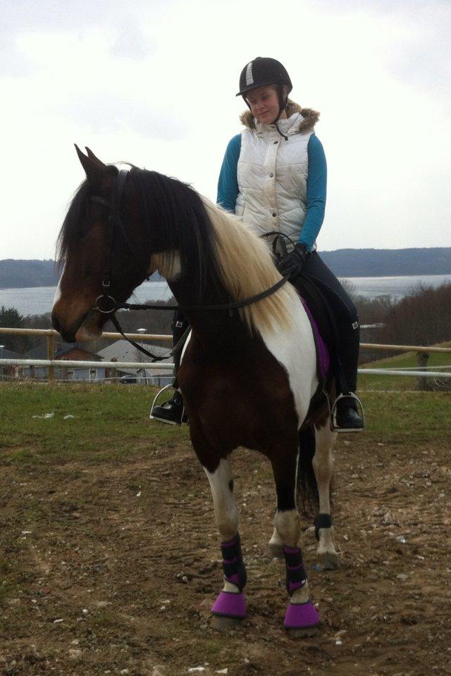 Pinto Coyote Girl :i - Coyote og jeg på tur :-* billede 3