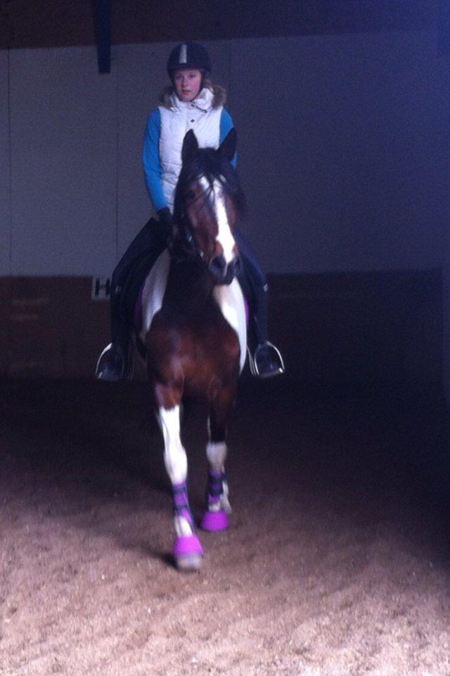 Pinto Coyote Girl :i - Dressur på Coyote  billede 20