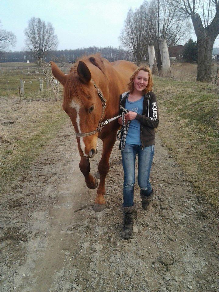 Dansk Varmblod Ullerups Indy †R.I.P † - mig og indy går en tur <3 og indy fik spist tæmlig meget græs ballade mager <3 <3 elsker dig pusser billede 20