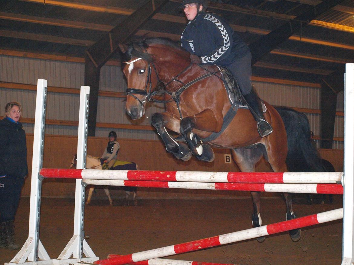 Sportsaraber (A) Youngstar Lukas - Mit Liv <3 - Min flyvende stjerne hest <3 billede 15