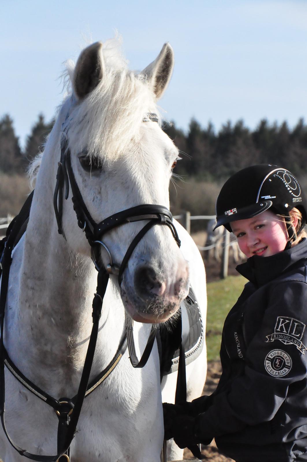 Connemara Veddinge Fit For Fight (B-pony) - Den 15. april 2013: Jeg har haft Fitte 1 år <3 billede 10