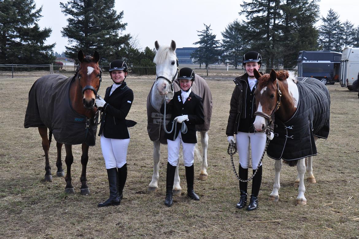 Connemara Veddinge Fit For Fight (B-pony) - Team SJR til C-stævne i Billund 14. april 2013 :-) billede 12