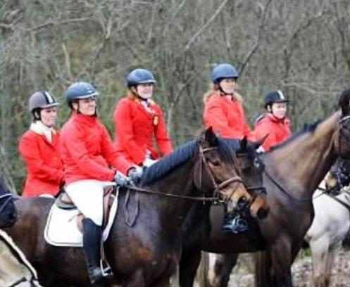 Anden særlig race Santos billede 13