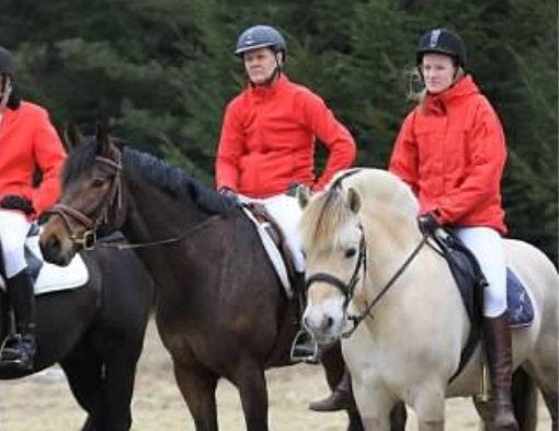 Anden særlig race Santos billede 14