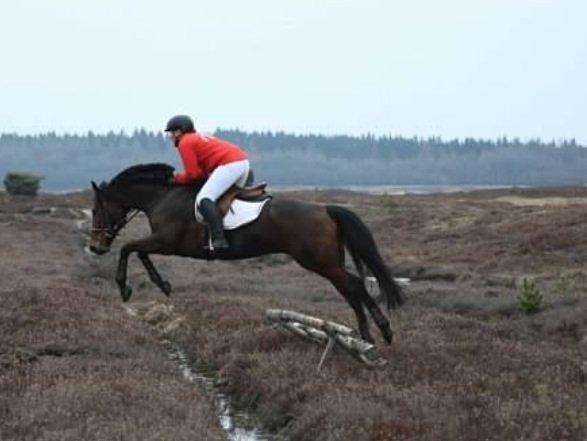 Anden særlig race Santos billede 16
