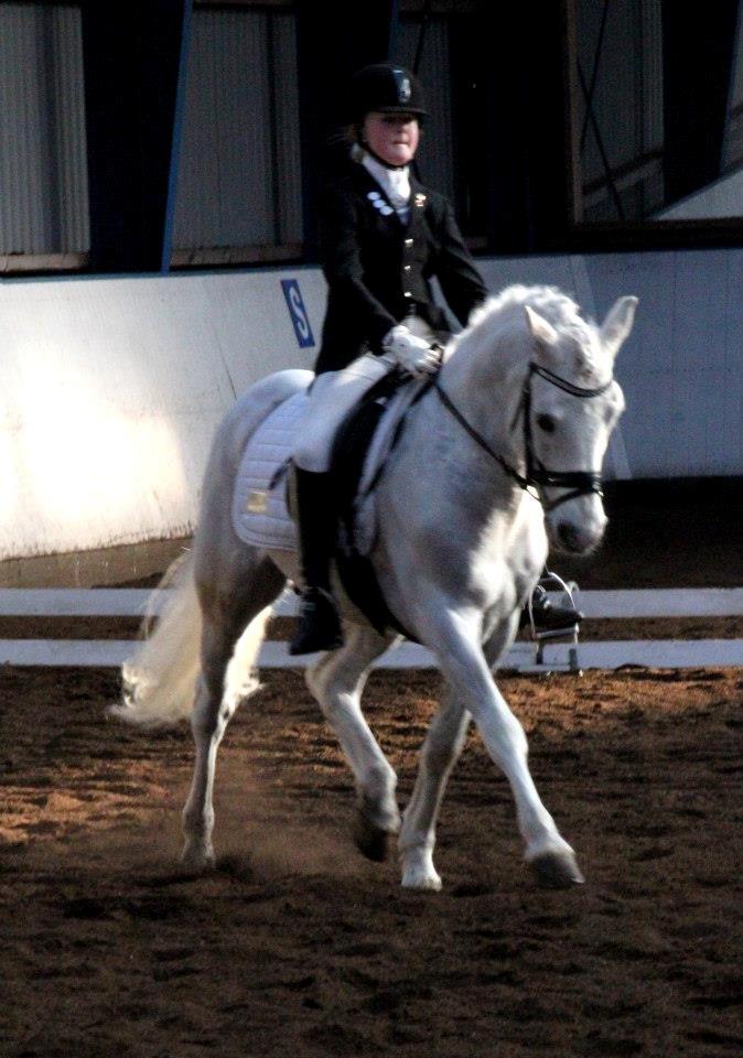 Connemara Veddinge Fit For Fight (B-pony) - Øgning på Fitte :-) billede 15