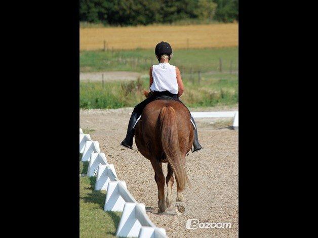 Anden særlig race Tim. <3(red :-'( ) billede 20