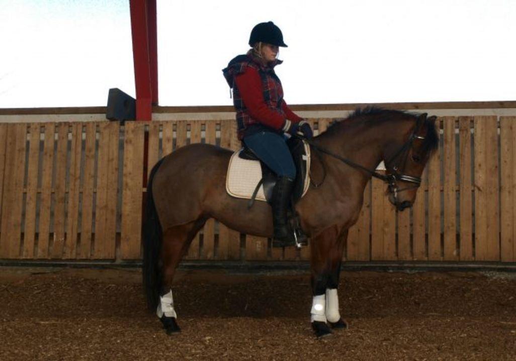 Anden særlig race Stald Poppels Tanne billede 16