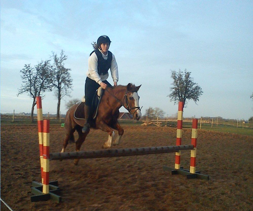 Anden særlig race Topsy billede 7