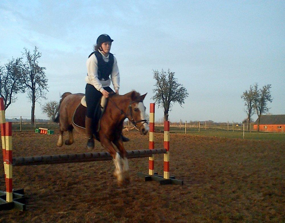 Anden særlig race Topsy billede 6