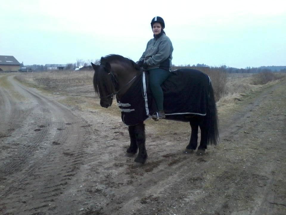 Koldblodstraver Frysning billede 1