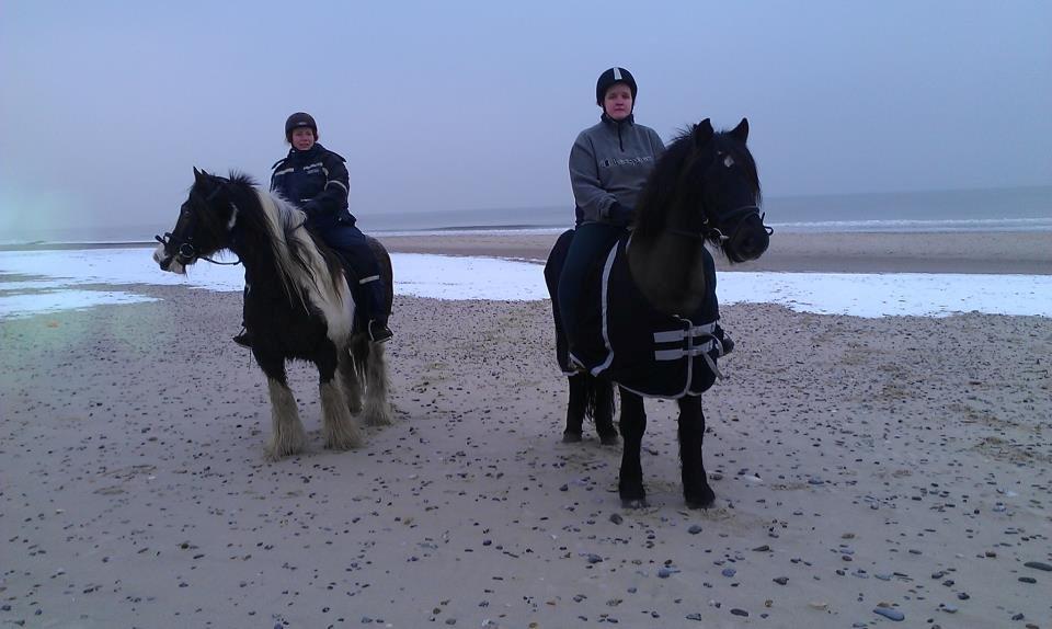 Koldblodstraver Frysning billede 5