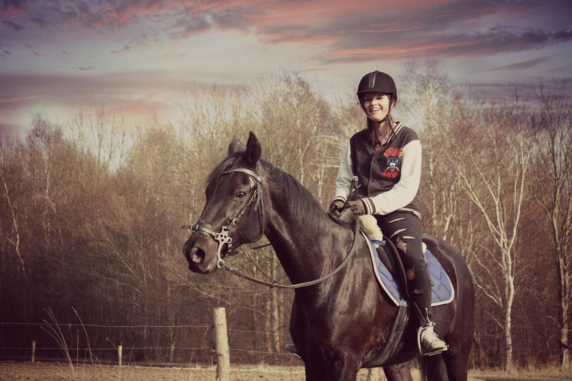 Traver Top gun (Himmelhest. Hvil i fred min engel) - 17-03-13.
My perfection. billede 2