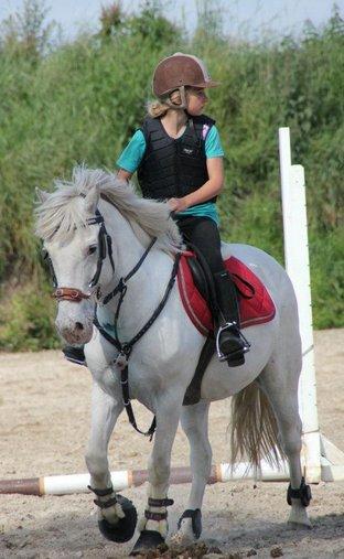 Anden særlig race Flying Blackie [Kiks] billede 3