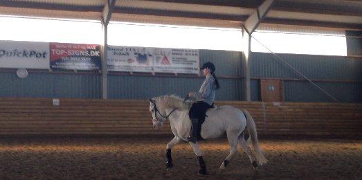 Anden særlig race Flying Blackie [Kiks] billede 5