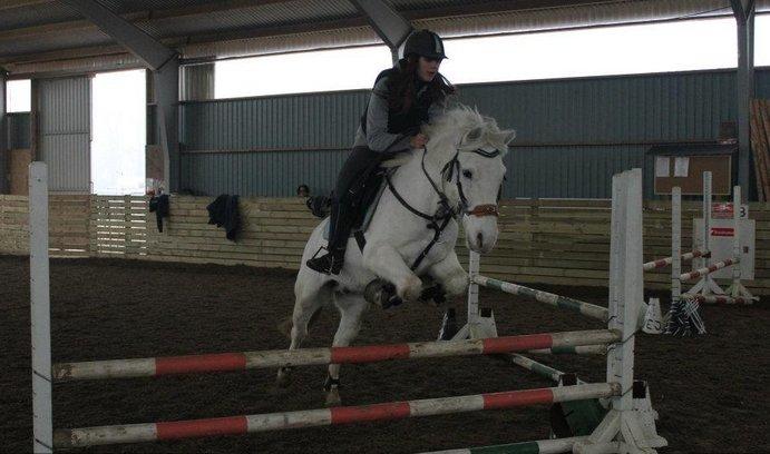 Anden særlig race Flying Blackie [Kiks] billede 7