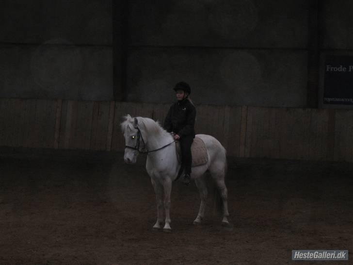 Anden særlig race Flying Blackie [Kiks] billede 10