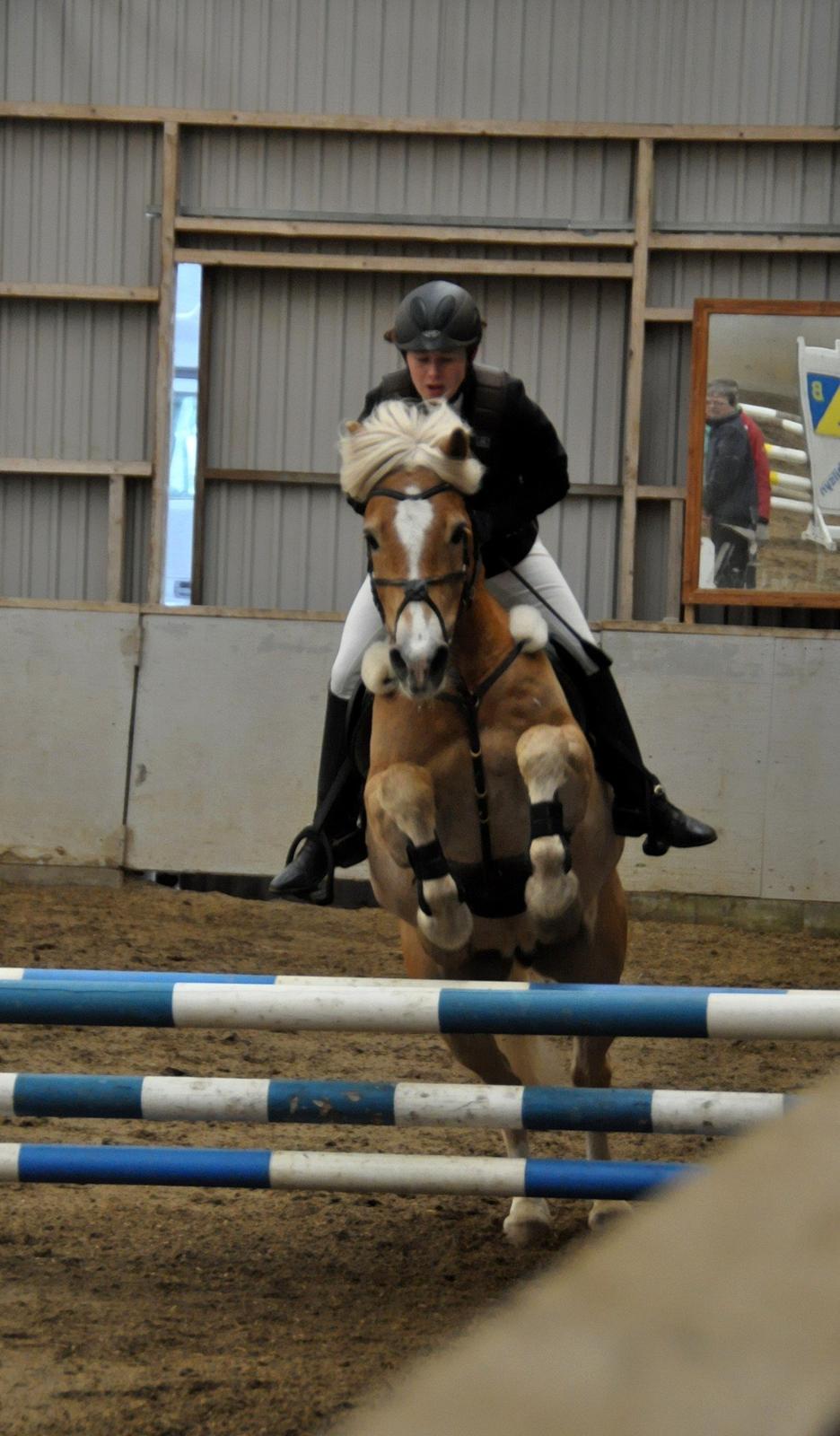 Tyroler Haflinger Story - TRK c-stævne, LB*
-Schmatz Photography billede 15