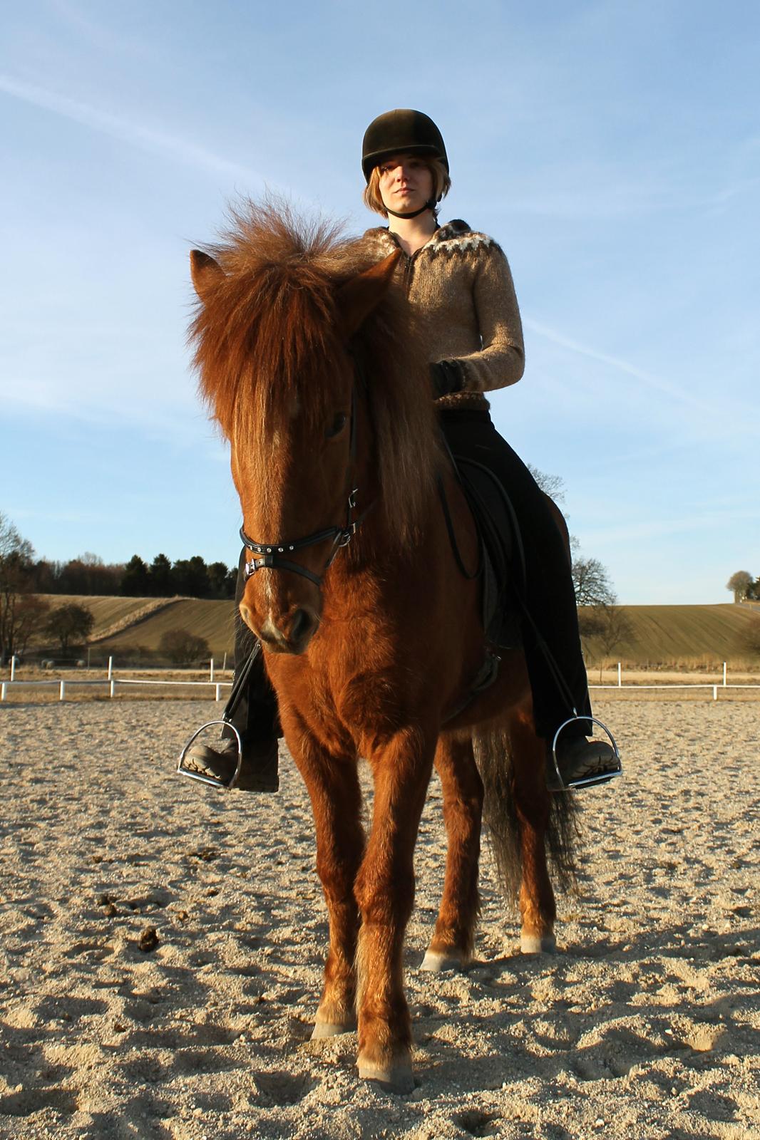 Islænder Bergdis Frá Króki - Hestecollege april 2013 billede 20