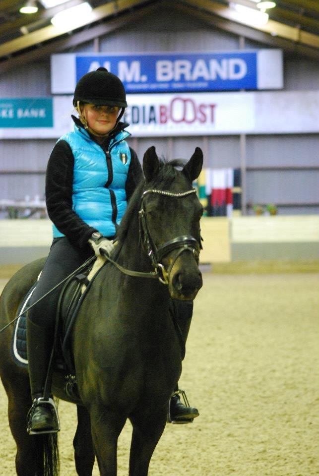 Tysk Sportspony Traeumer A-pony - trols <3  billede 17