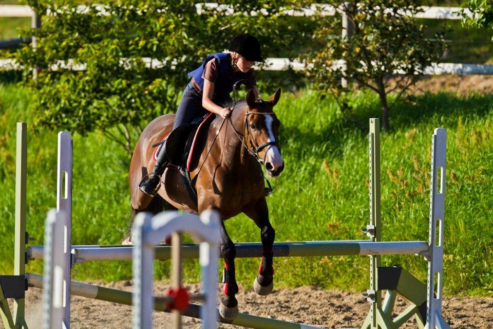 Anden særlig race Rex billede 3