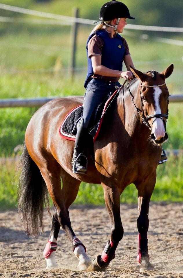 Anden særlig race Rex billede 1
