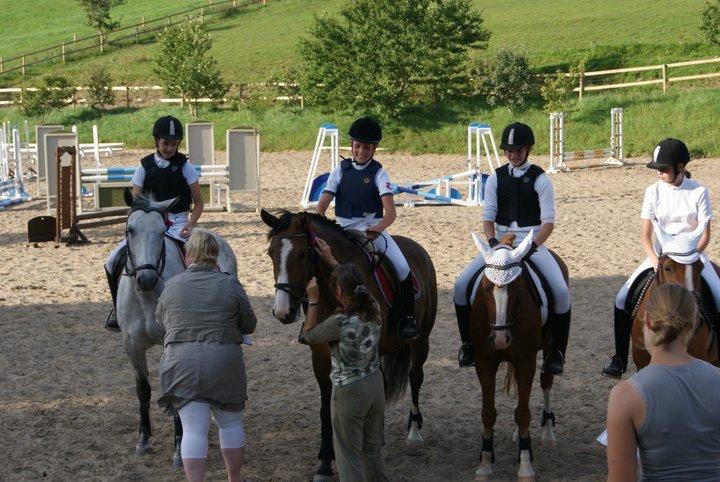 Anden særlig race Rex billede 4