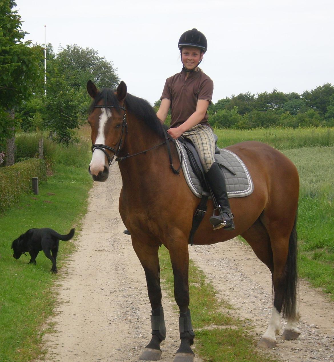 Anden særlig race Rex billede 10