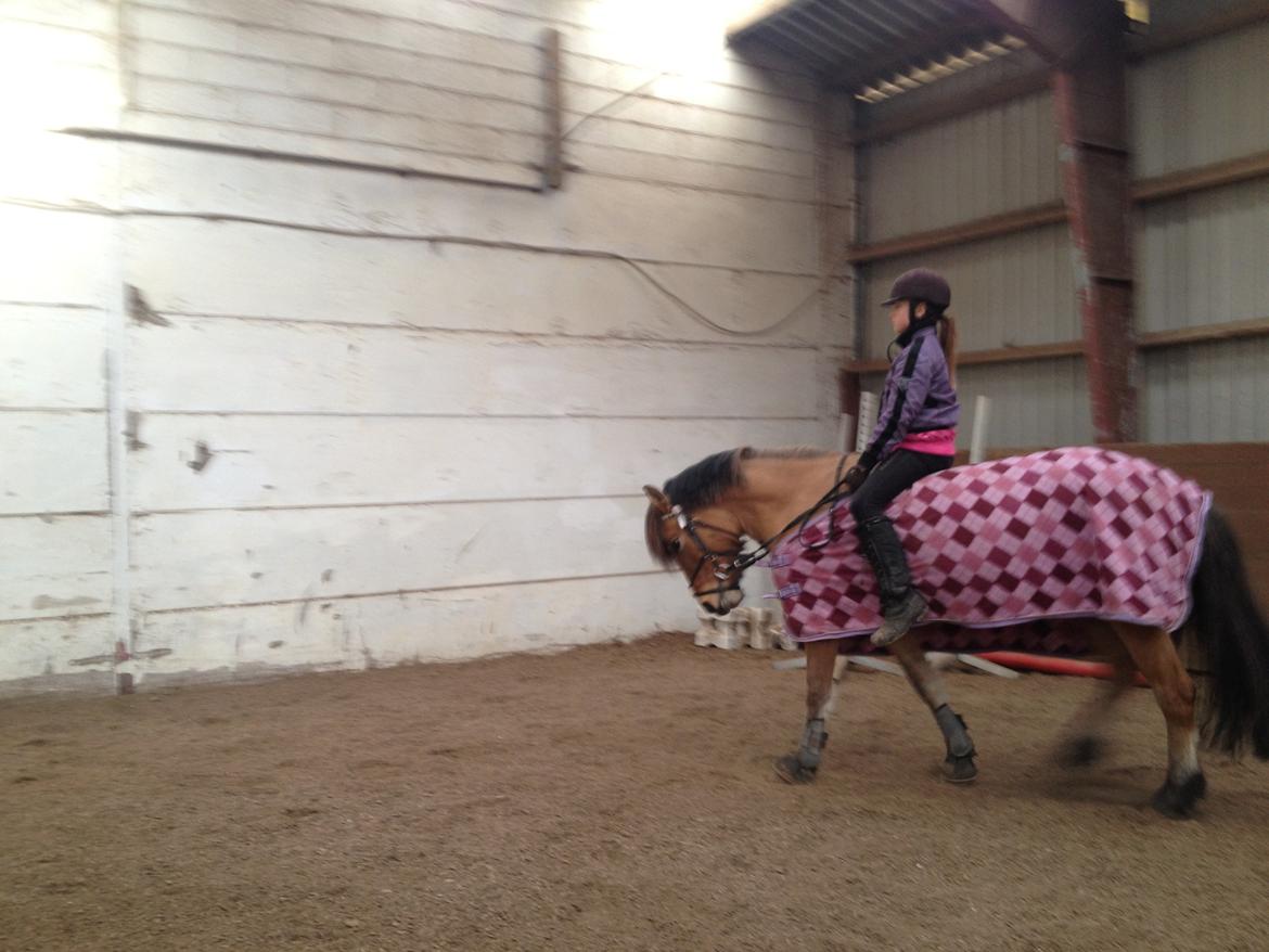 Anden særlig race Vanilla - Julie og Vanilla billede 6