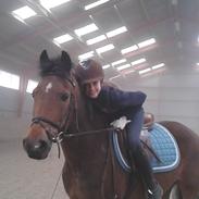 Hollandsk Sportspony Brinkhof´s Phantom (DJ) <3