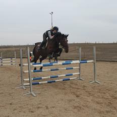 Anden særlig race Gavnbogaards Sofia