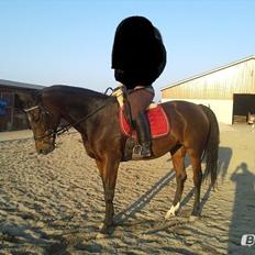 Anden særlig race Malou Kærlund (min mors)