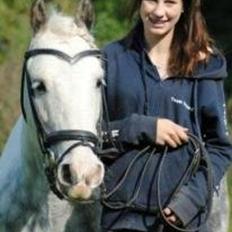 Irish Cob Little Big Bobby Beer