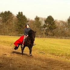 New Forest Gay Count Zidan