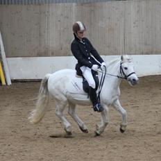 Anden særlig race Nitus