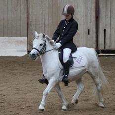 Anden særlig race Nitus
