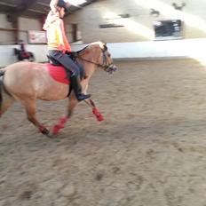 Anden særlig race Beauty [Tidl. Pony] :)