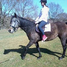 Anden særlig race Payback