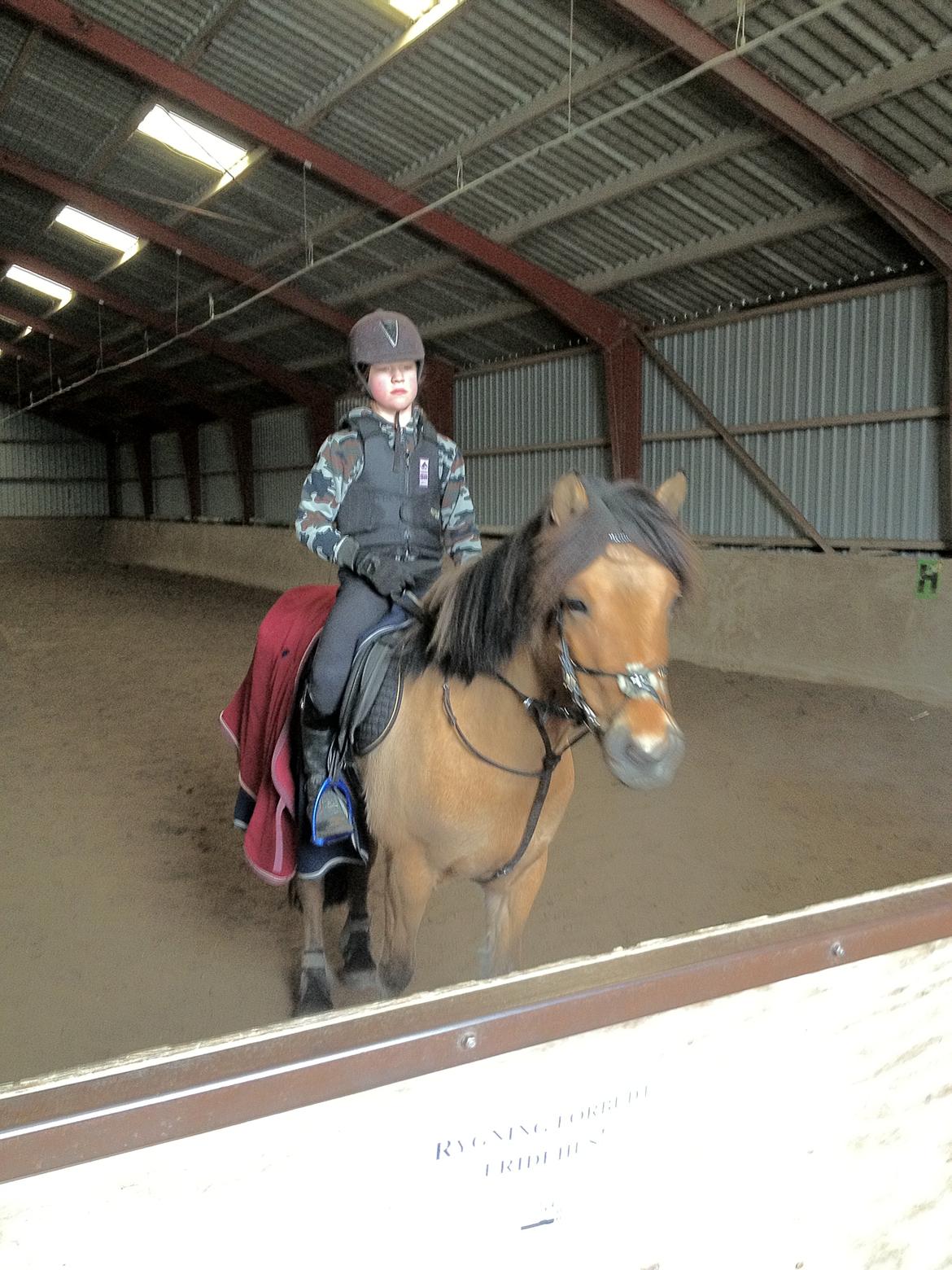 Anden særlig race Vanilla billede 7