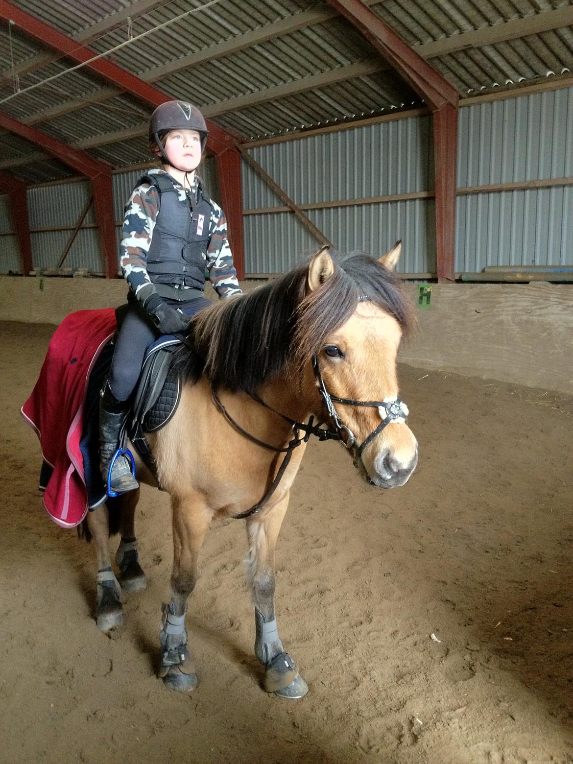 Anden særlig race Vanilla billede 9