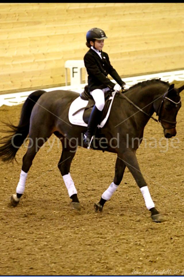 Anden særlig race Sweet Wonder billede 11