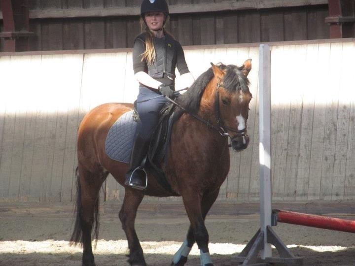 Anden særlig race Stjerne billede 4