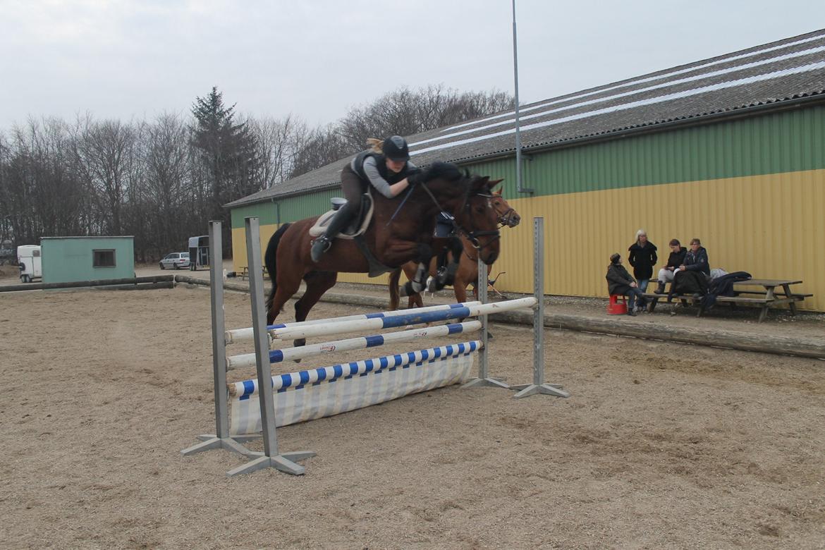 Anden særlig race Gavnbogaards Sofia billede 17