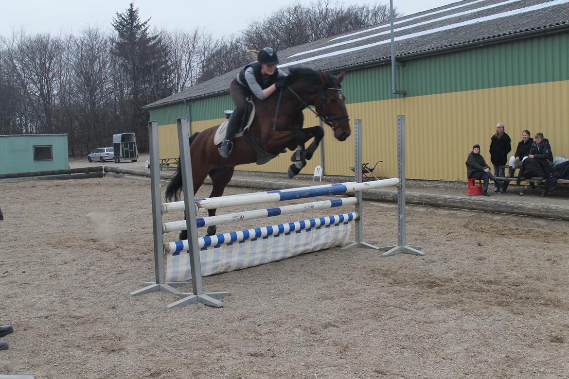 Anden særlig race Gavnbogaards Sofia billede 19