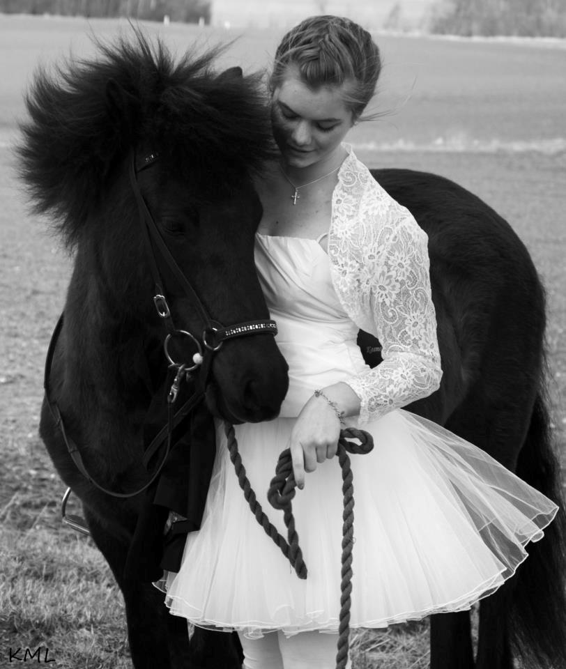 Islænder Dimma fra Kringlan billede 9