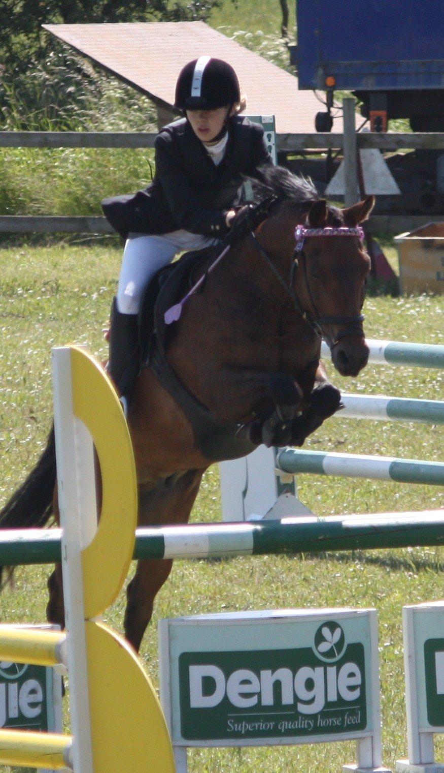 New Forest Otto - MB billede 14